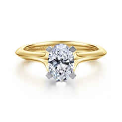 Ellis---14K-Mix-of-White-and-Yellow-Gold-Oval-Diamond-Engagement-Ring1
