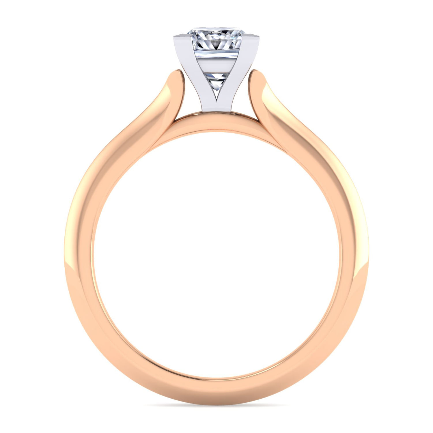 Ellis - 14K White-Rose Gold Princess Cut Diamond Engagement Ring