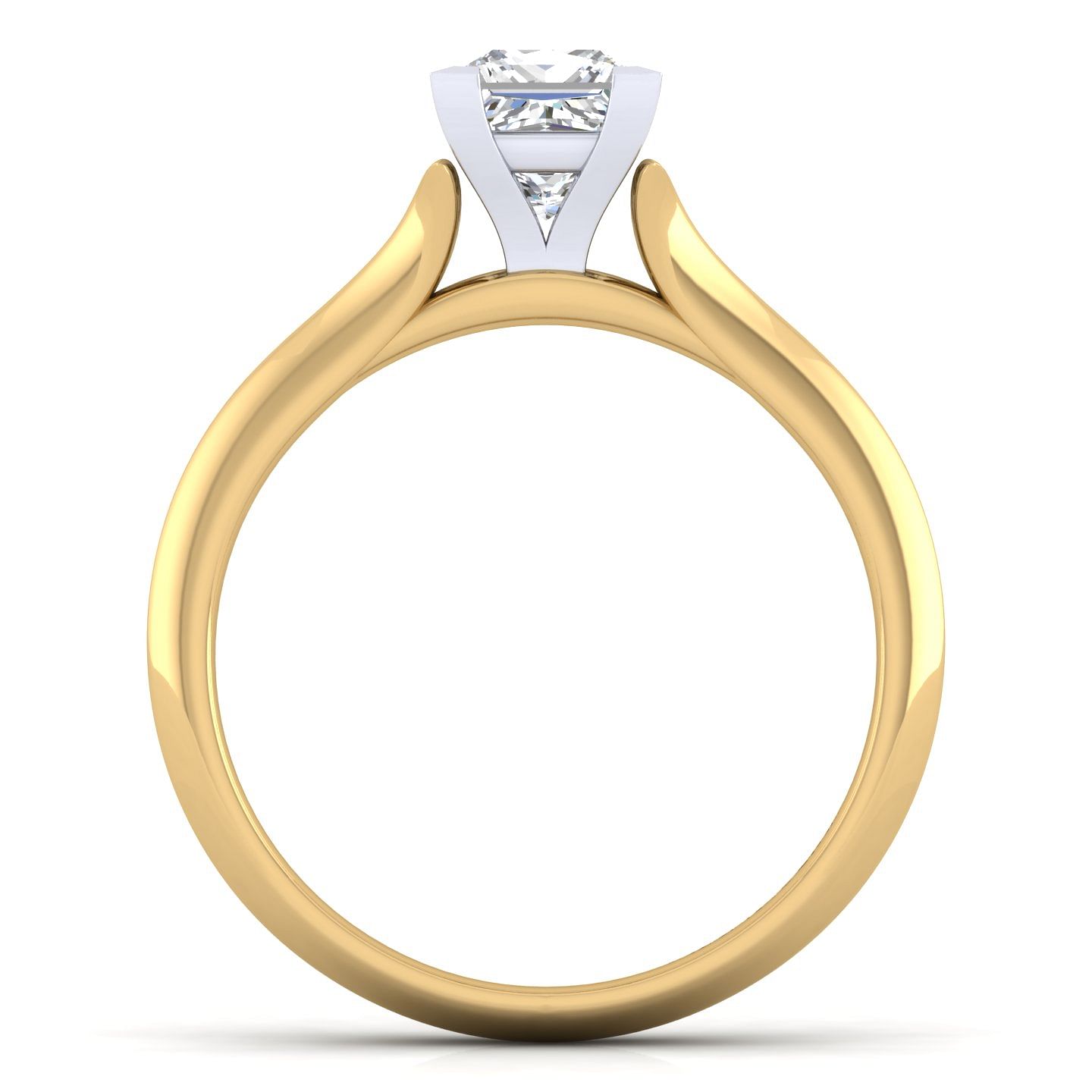 Ellis - 14K White-Yellow Gold Princess Cut Diamond Engagement Ring