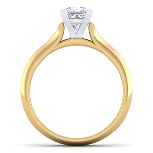 Ellis - 14K White-Yellow Gold Princess Cut Diamond Engagement Ring