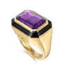 Enamel - 14K Yellow Gold Amethyst Cocktail Ring with Black Enamel