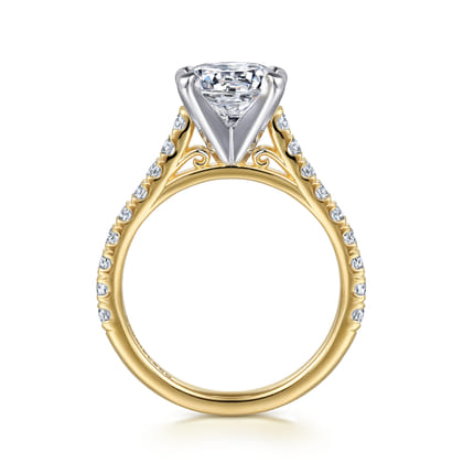 Erica - 14K White-Yellow Gold Round Diamond Engagement Ring