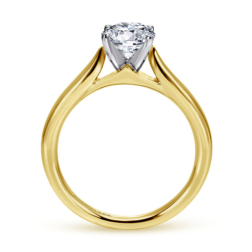 Lucia - 14K White-Yellow Gold Round Diamond Engagement Ring - Shot 2