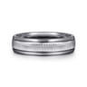 Mens Alternative 6mm Round Tantalum and 14K White Gold Band