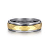 Mens Alternative 6mm Round Tantalum and 14K Yellow Gold Band