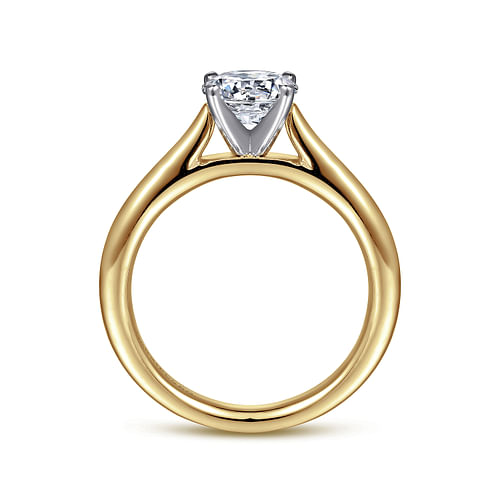 Michelle - 14K White-Yellow Gold Round Diamond Engagement Ring - Shot 2