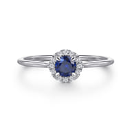 Promise Ring - 14K White Gold Blue Sapphire and Diamond Halo Promise Ring