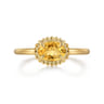 Promise Ring - 14K Yellow Gold Citrine Bujukan Promise Ring