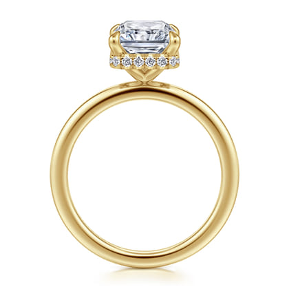 Rainah - 14K White Gold Hidden Halo Radiant Cut Diamond Engagement Ring