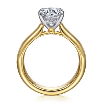 Reeve - 14K Yellow-White Gold Round Diamond Engagement Ring