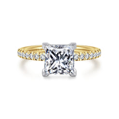 Stasia - 14K White-Yellow Gold Princess Cut Diamond Engagement Ring