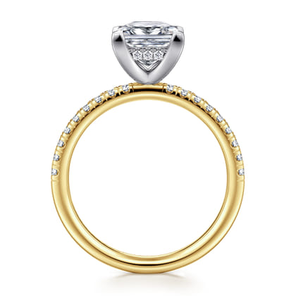 Stasia - 14K White-Yellow Gold Princess Cut Diamond Engagement Ring
