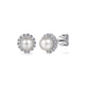 Stud Earrings 14K White Gold Diamond and Pearl 0.14ct - 0.14 ct