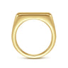 Wide 14K Yellow Gold North Star Ring in Satin Finish - 0.06 ct