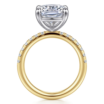 Winslow - 14K White-Yellow Gold Elongated Cushion Diamond Engagement Ring