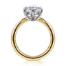 Crista - 14K White-Yellow Gold Chevron Compass Prong Oval Diamond Engagement Ring - 0.25 ct