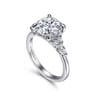 Avah - 14K White Gold Round Diamond Cluster Engagement Ring - 0.3 ct