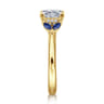 Dani - 14K Yellow Gold Princess Cut Diamond and Sapphire Engagement Ring - 0.4 ct