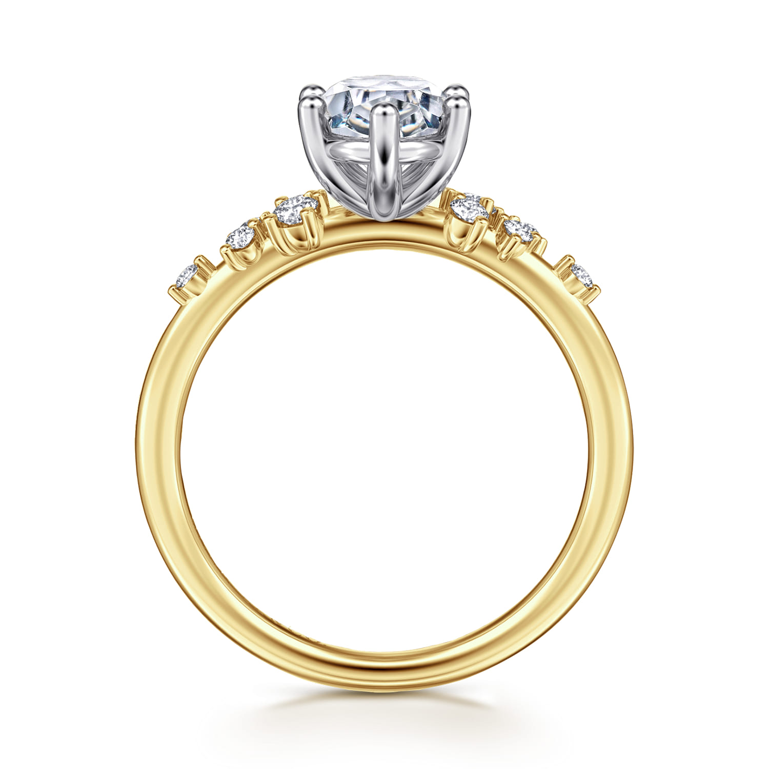Reena - 14K White-Yellow Gold Oval Diamond Engagement Ring - 0.18 ct - Shot 2