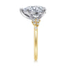 Reena - 14K White and Yellow Gold Pear Shape Diamond Engagement Ring - 0.18 ct