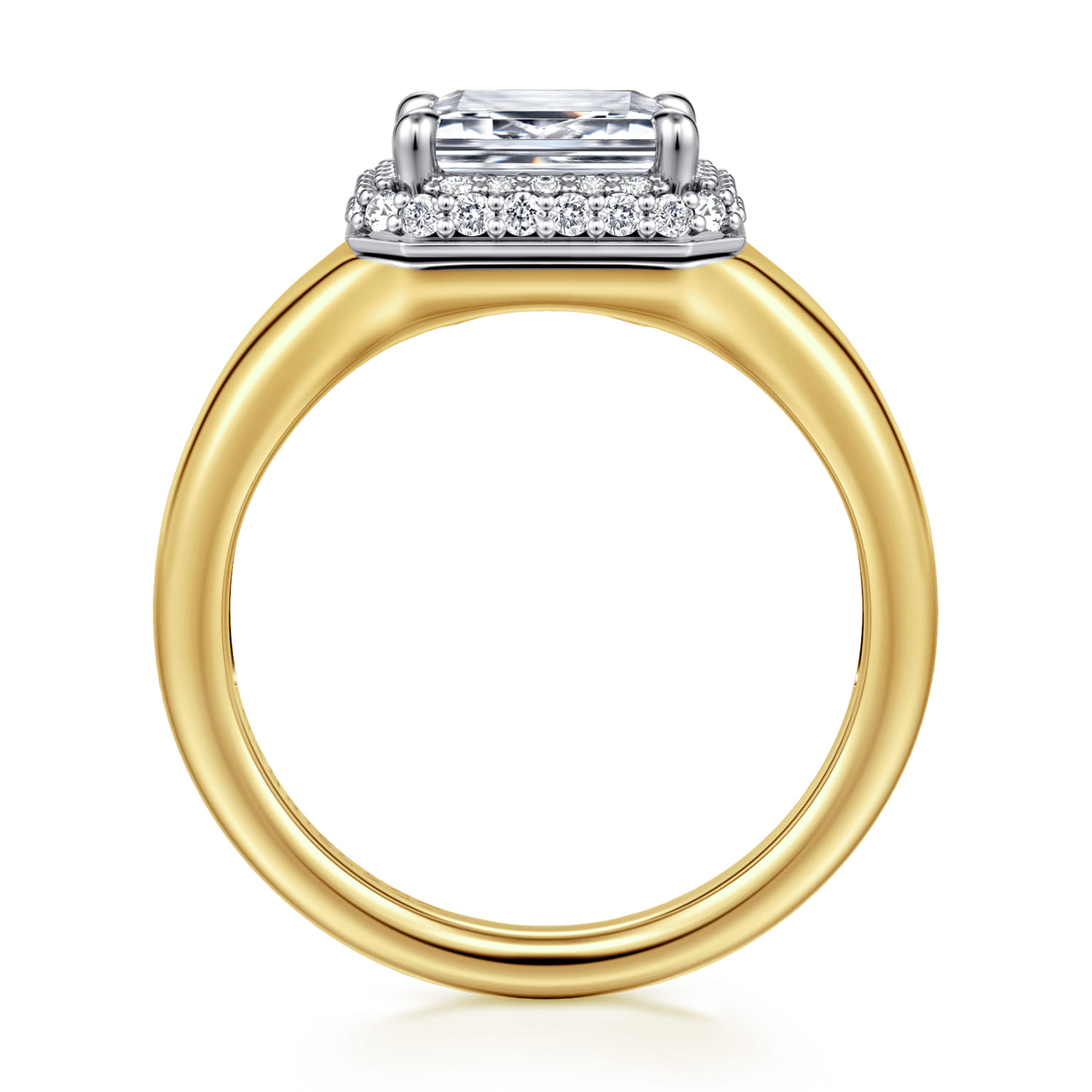 Fillipa - 14K White-Yellow Gold Emerald Cut Double Halo Diamond Engagement Ring - 0.23 ct - Shot 2