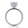 Allison - 14K White Gold Elongated Cushion Hidden Halo Diamond and Engagement Ring - 0.3 ct