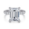Adela - 14K White Gold Emerald Cut Hidden Halo Diamond Engagement Ring - 0.45 ct