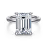 Peace - 14K White Gold Emerald Cut Hidden Halo Diamond Engagement Ring - 0.12 ct