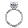 Peace - 14K White Gold Emerald Cut Hidden Halo Diamond Engagement Ring - 0.12 ct