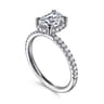 Suede - 14K White Gold Oval Hidden Halo Diamond Engagement Ring - 0.3 ct