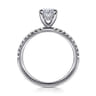 Allison - 14K White Gold Oval Hidden Halo Diamond and Engagement Ring - 0.25 ct