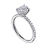 Allison - 14K White Gold Oval Hidden Halo Diamond and Engagement Ring - 0.25 ct