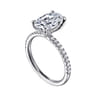 Allison - 14K White Gold Oval Hidden Halo Diamond and Engagement Ring - 0.25 ct