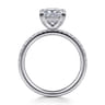 Allison - 14K White Gold Princess Hidden Halo Diamond Engagement Ring - 0.25 ct