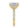 Adela - 14K Yellow Gold Elongated Cushion Hidden Halo Diamond Engagement Ring - 0.4 ct