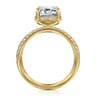 Suede - 14K Yellow Gold Emerald Cut Hidden Halo Diamond Engagement Ring - 0.3 ct