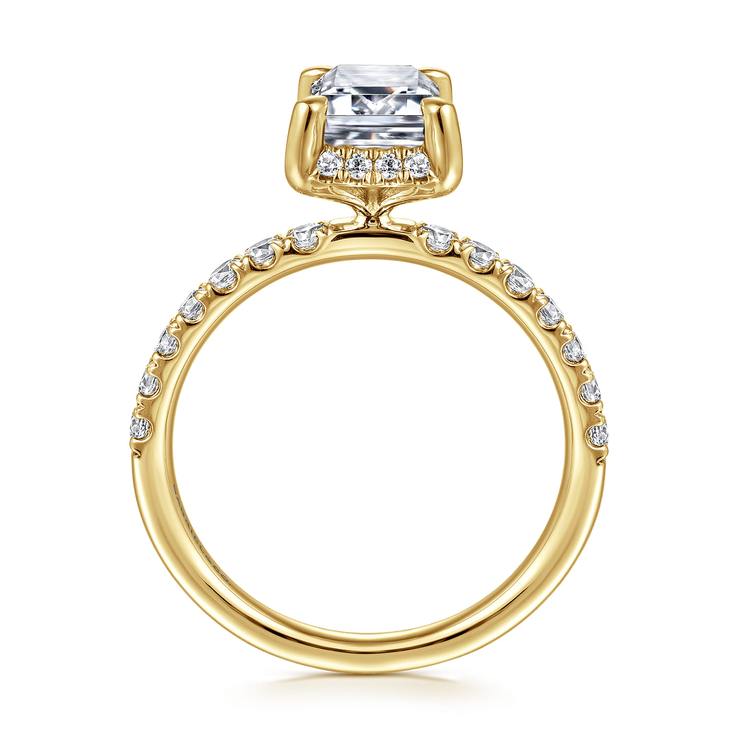 Talisa - 14K Yellow Gold Emerald Cut Hidden Halo Diamond Engagement Ring - 0.5 ct - Shot 2