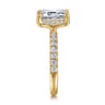 Talisa - 14K Yellow Gold Emerald Cut Hidden Halo Diamond Engagement Ring - 0.5 ct