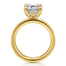 Argentina - 14K Yellow Gold Hidden Halo Emerald Cut Diamond Engagement Ring - 0.1 ct