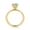 Cari - 14K Yellow Gold Hidden Halo Oval Diamond Engagement Ring - 0.06 ct
