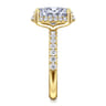 Talisa - 14K Yellow Gold Oval Hidden Halo Diamond Engagement Ring - 0.5 ct