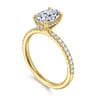 Allison - 14K Yellow Gold Oval Hidden Halo Diamond and Engagement Ring - 0.25 ct