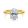 Aliona - 14K White-Yellow Gold Oval Hidden Halo Diamond Engagement Ring - 0.09 ct