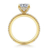 Noa - 14K Yellow Gold Princess Cut Diamond Engagement Ring - 0.45 ct