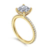 Noa - 14K Yellow Gold Princess Cut Diamond Engagement Ring - 0.45 ct