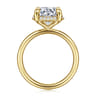 Symphony - 14K Yellow Gold Round Hidden Halo Diamond Engagement Ring - 0.1 ct