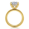 Argentina - 14K Yellow Gold Hidden Halo Round Diamond Engagement Ring - 0.08 ct