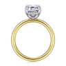Cari - 14K White-Yellow Gold Hidden Halo Emerald Cut Diamond Engagement Ring - 0.08 ct
