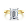 Cari - 14K White-Yellow Gold Hidden Halo Emerald Cut Diamond Engagement Ring - 0.09 ct