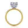 Cari - 14K White-Yellow Gold Hidden Halo Emerald Cut Diamond Engagement Ring - 0.09 ct